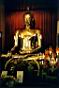 buddha d'oro.jpg